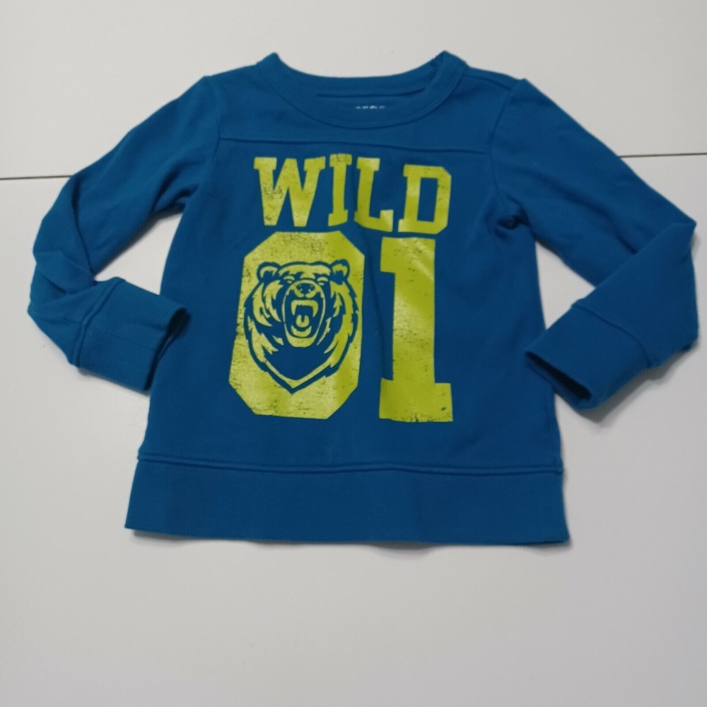 Land's End Sweater Toddler Boys 2T Blue Bear Green 100% Cotton Long Sleeve Crew